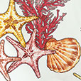 TAMARAMA CORAL