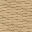 Dottie Antique Rr