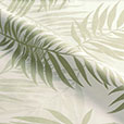 Isola Aloe