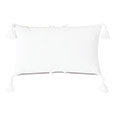 Hullabaloo Tassel Trim Decorative Pillow