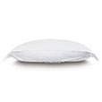 Gianna Hemstitch Euro Sham in White