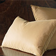 Freda Taffeta King Sham in Gold