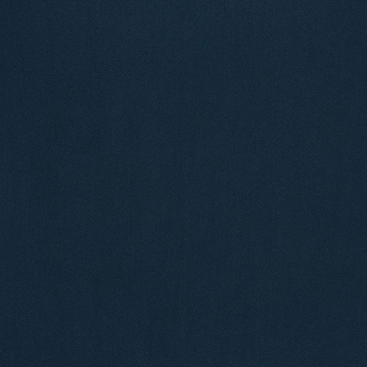 Amu Navy Mini Swatch