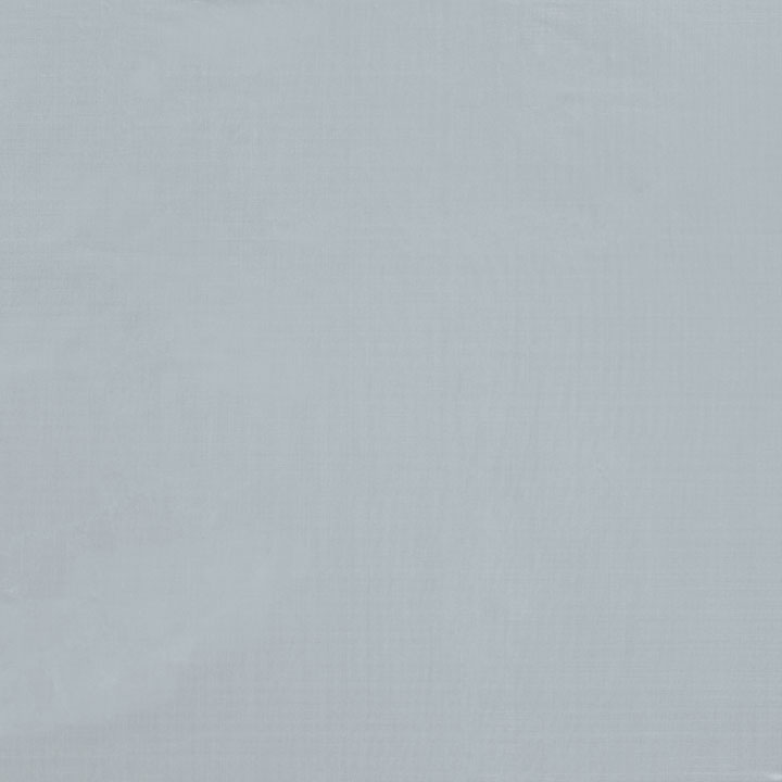 Solaris Silver Mini Swatch