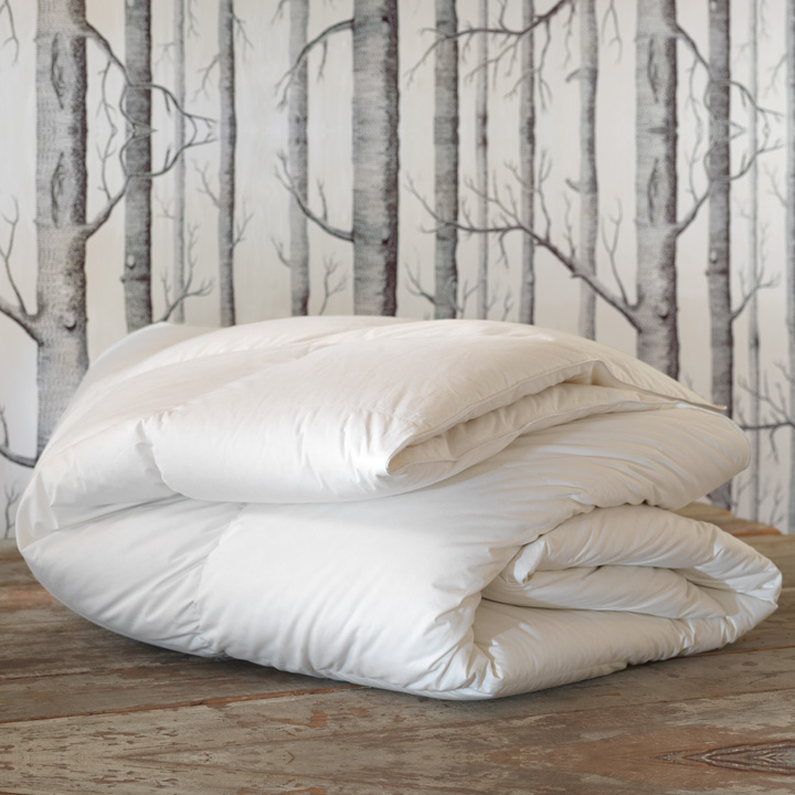 Celesta Luxe Down Comforter