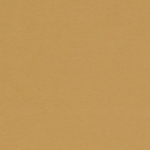 Shelton Gold Mini Swatch