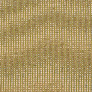 Palmetto Citrus Rr Mini Swatch