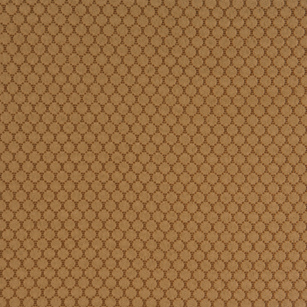 Dempsey Fennel Swatch 12X12