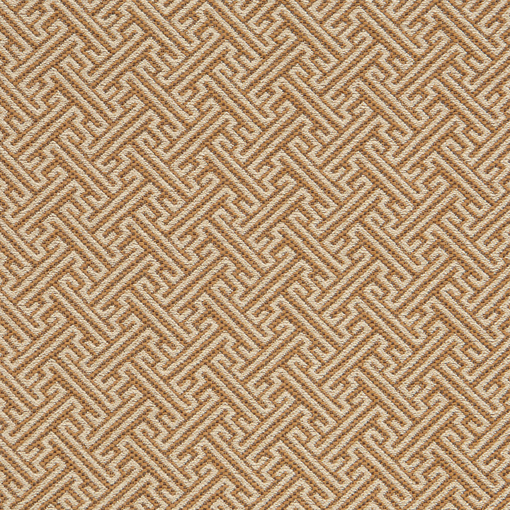 Braxton Camel Rr Mini Swatch