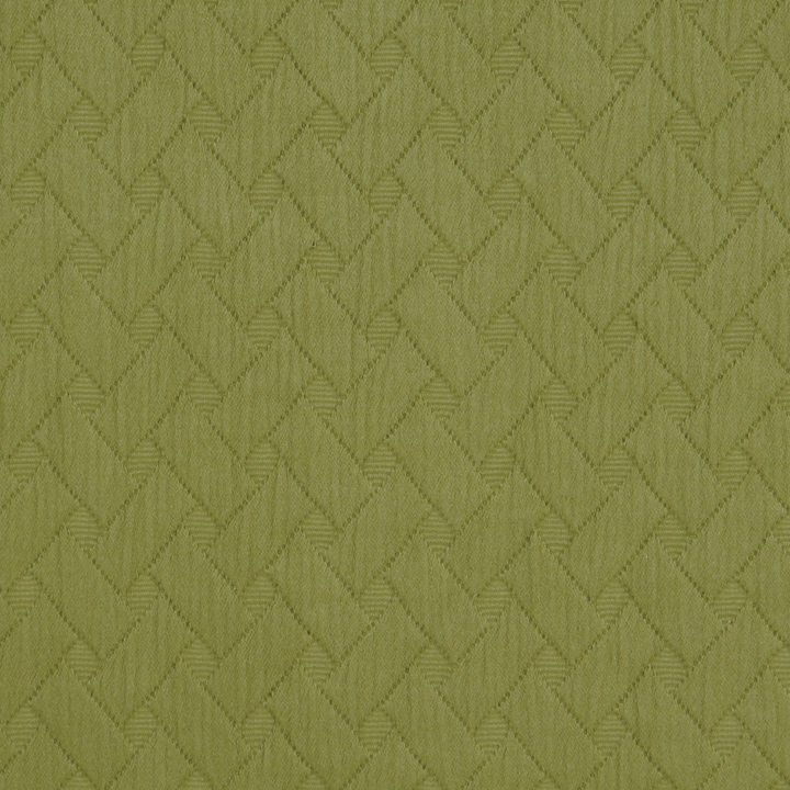 Briseyda Palm Swatch Mini