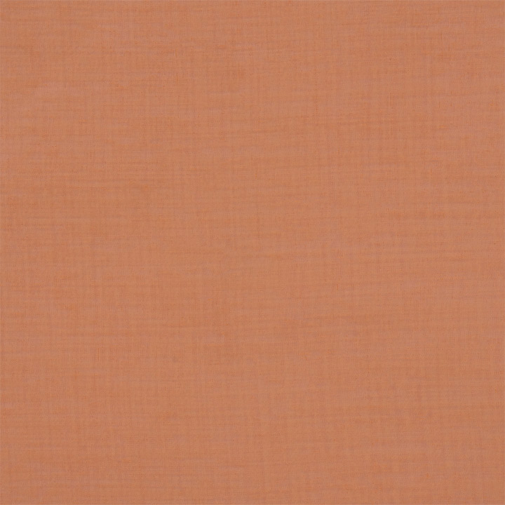 Palapa Rust Swatch Mini