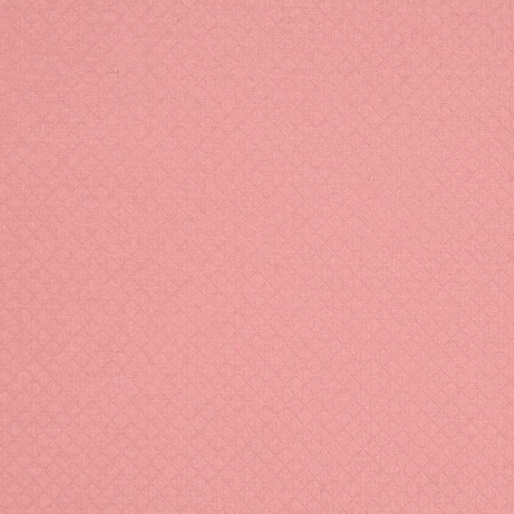 Ballet Blush Swatch Mini