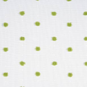 Shay Lime Swatch Mini