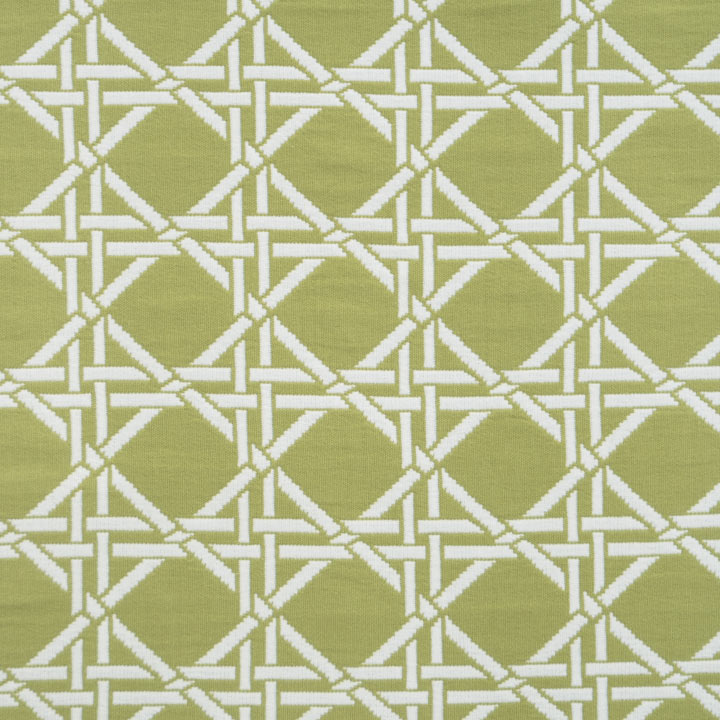 Larkin Palm Swatch Mini