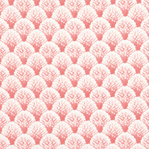 Koopa Coral Swatch Mini