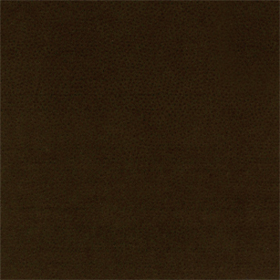 Genet Earth Mini Swatch