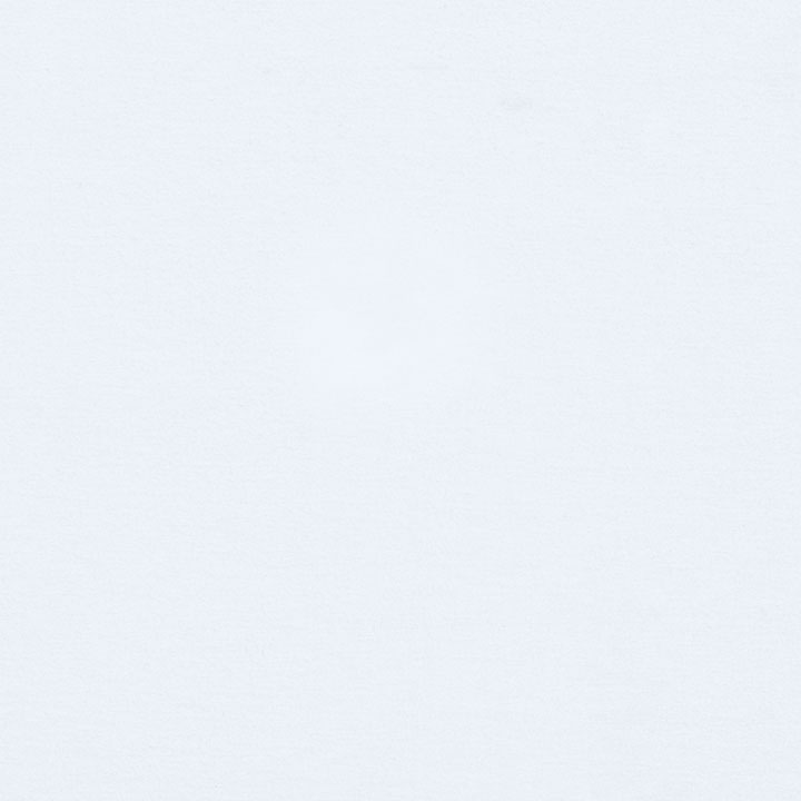 VANTH WHITE LINING