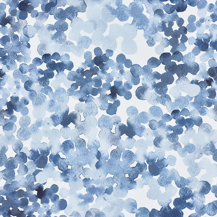 ARCUS BLUE