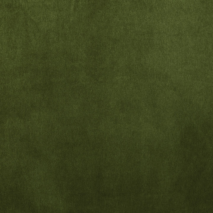 BRAHMS FERN