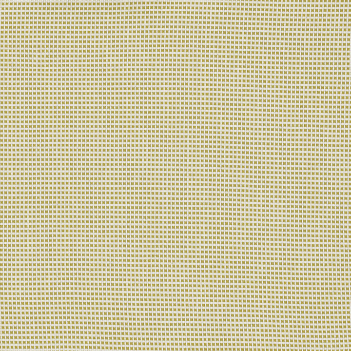 XANDER CITRON SWATCH 3X3