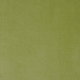 Velvet Lime Mini Swatch