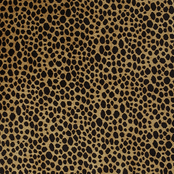 Togo Coin (Reversible) 12X12 Swatch