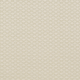 Macy Sterling Rr Mini Swatch