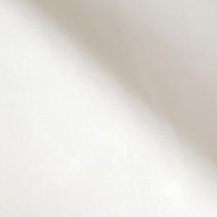 Glint Snow Mini Swatch