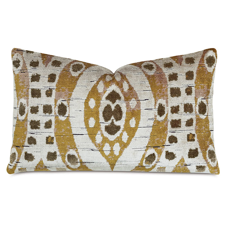 Salazar Velvet Decorative Pillow