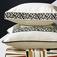 Medara Graphic Border Decorative Pillow