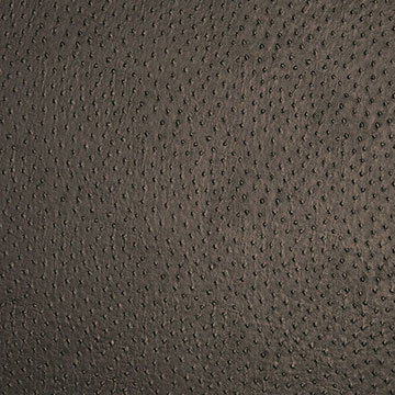 OSWALD BRONZE SWATCH 3X3