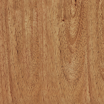 Natural Wood Stain