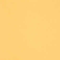 Eli Yellow