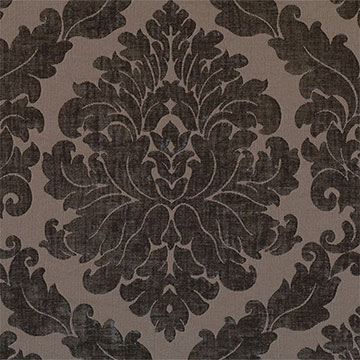 Isadora Charcoal