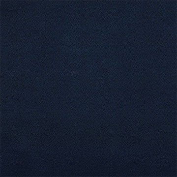 Allen Navy
