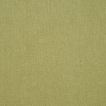 Breeze Palm
