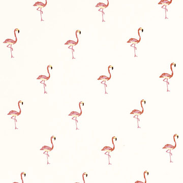 Fiesta Flock