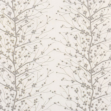 Habersham Birch