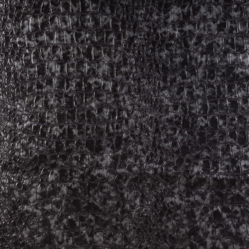 Croc Abyss