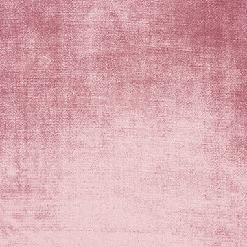 Velda Cherry Blossom