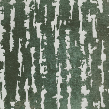 Phylum Green