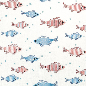 Minnow