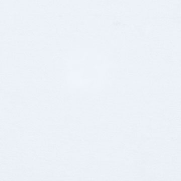 VANTH WHITE LINING