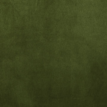Brahms Fern