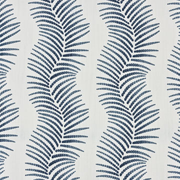 DRACAENA INDIGO