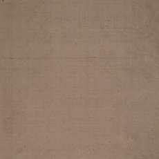 Serico Taupe Silk