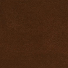 Nippon Cocoa
