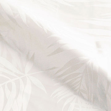 Isola White