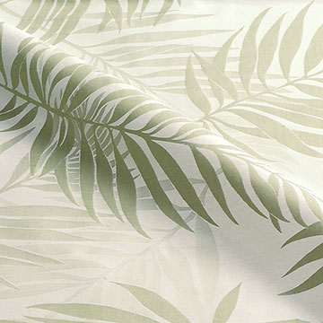 Isola Aloe