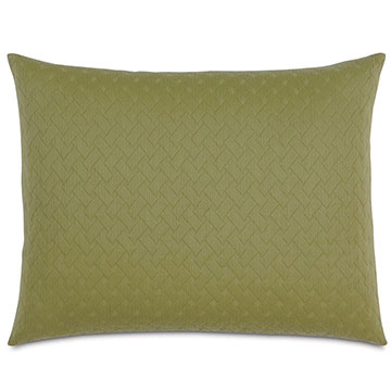 Briseyda Palm Standard Sham